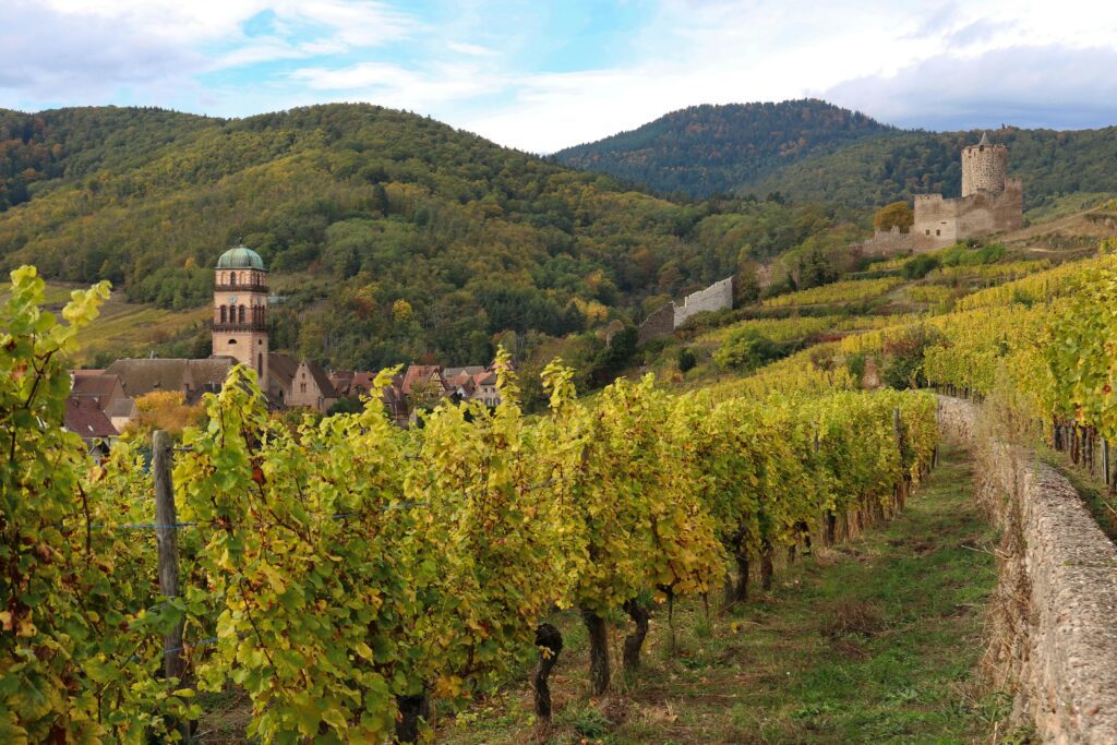 Découverte de l’Alsace et de ses villages viticoles en VTC